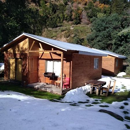 Cabanas El Toro - Radal Siete Tazas Молина Экстерьер фото